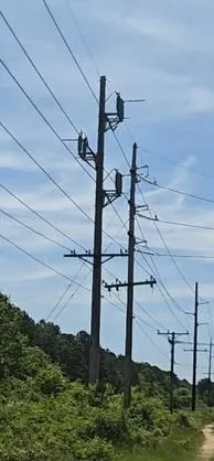 Utility poles along the frontage with a nearby wireless tower